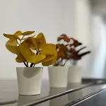 I Loft - Intero Loft Di Lusso A Porta Nuova - 住宿加早餐酒店 都灵