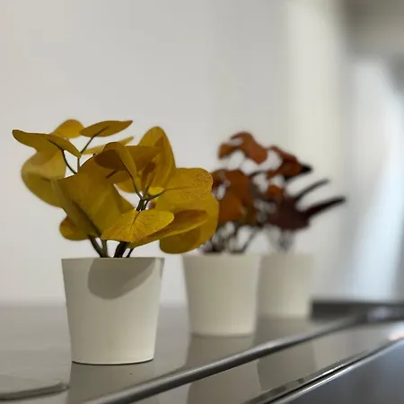 I Loft - Intero Loft Di Lusso A Porta Nuova - Bed and Breakfast Τορίνο